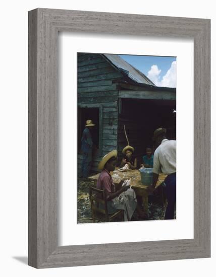 Men Watch Three Young Women Pluck Feathers from Chickenss, Edisto Island, South Carolina, 1956-Walter Sanders-Framed Photographic Print