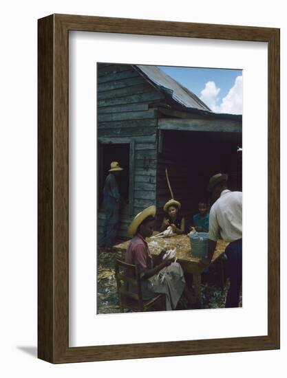 Men Watch Three Young Women Pluck Feathers from Chickenss, Edisto Island, South Carolina, 1956-Walter Sanders-Framed Photographic Print