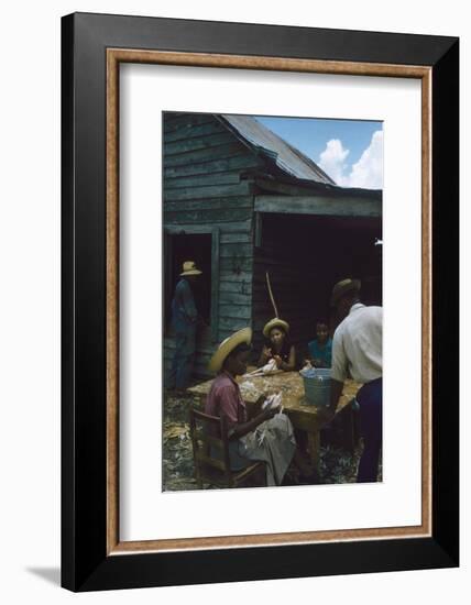 Men Watch Three Young Women Pluck Feathers from Chickenss, Edisto Island, South Carolina, 1956-Walter Sanders-Framed Photographic Print
