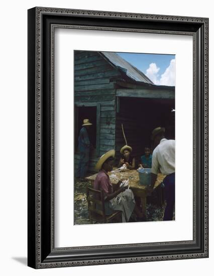 Men Watch Three Young Women Pluck Feathers from Chickenss, Edisto Island, South Carolina, 1956-Walter Sanders-Framed Photographic Print