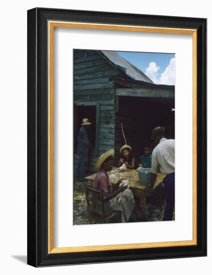 Men Watch Three Young Women Pluck Feathers from Chickenss, Edisto Island, South Carolina, 1956-Walter Sanders-Framed Photographic Print