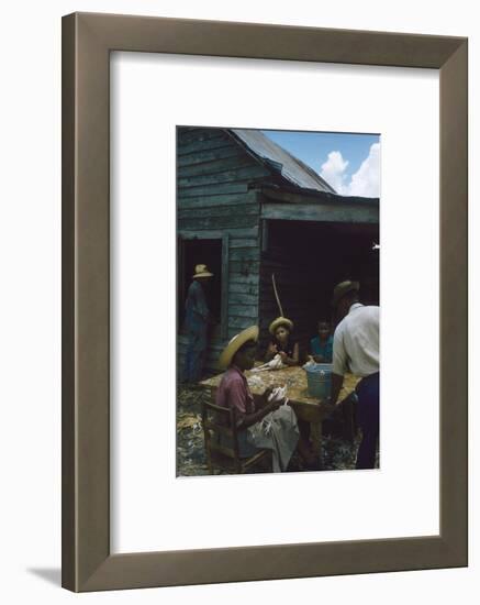 Men Watch Three Young Women Pluck Feathers from Chickenss, Edisto Island, South Carolina, 1956-Walter Sanders-Framed Photographic Print