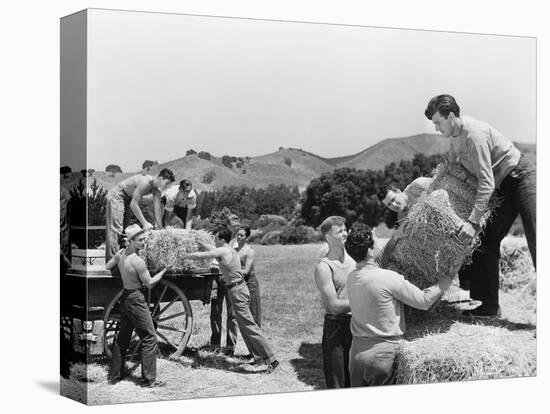 Stretched Canvas Print, , large