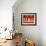 Menage A Trois Orange Cat-Stephen Huneck-Framed Giclee Print displayed on a wall