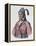 Menawa (Oakfuskee Chief)-Charles Bird King-Framed Premier Image Canvas
