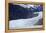 Mendenhall Glacier, Juneau, Alaska, United States of America, North America-Richard Cummins-Framed Premier Image Canvas