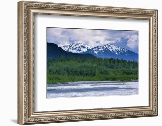 Mendenhall Glacier Lake, Juneau, Alaska, United States of America, North America-Richard Cummins-Framed Photographic Print