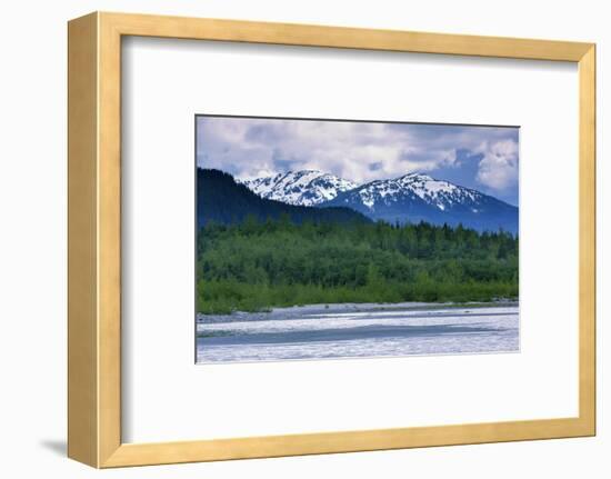 Mendenhall Glacier Lake, Juneau, Alaska, United States of America, North America-Richard Cummins-Framed Photographic Print