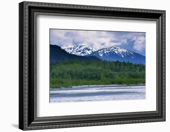 Mendenhall Glacier Lake, Juneau, Alaska, United States of America, North America-Richard Cummins-Framed Photographic Print