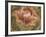 Mendlesham I-Augustine-Framed Giclee Print