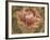 Mendlesham I-Augustine-Framed Giclee Print