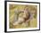 Mendlesham II-Augustine-Framed Giclee Print