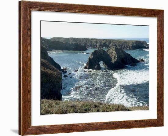 Mendocino Headlands, California, USA-Ethel Davies-Framed Photographic Print