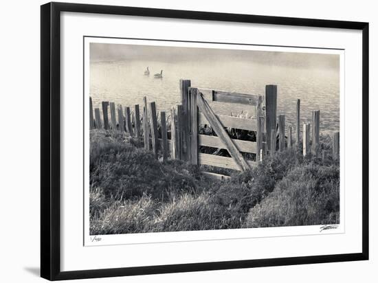 Mendocino Morning-Donald Satterlee-Framed Giclee Print