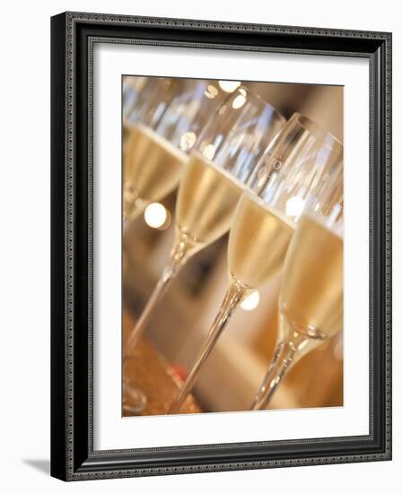 Mendoza Province, Lujan De Cuyo, Bodegas Norton Winery, Wineglasses in the Tasting Room, Argentina-Walter Bibikow-Framed Photographic Print