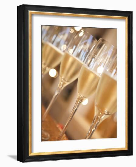 Mendoza Province, Lujan De Cuyo, Bodegas Norton Winery, Wineglasses in the Tasting Room, Argentina-Walter Bibikow-Framed Photographic Print