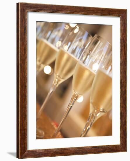 Mendoza Province, Lujan De Cuyo, Bodegas Norton Winery, Wineglasses in the Tasting Room, Argentina-Walter Bibikow-Framed Photographic Print