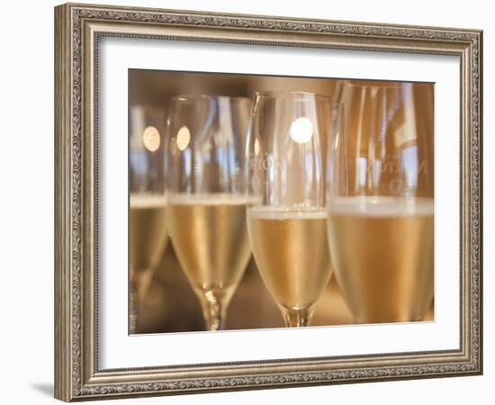 Mendoza Province, Lujan De Cuyo, Bodegas Norton Winery, Wineglasses in the Tasting Room, Argentina-Walter Bibikow-Framed Photographic Print