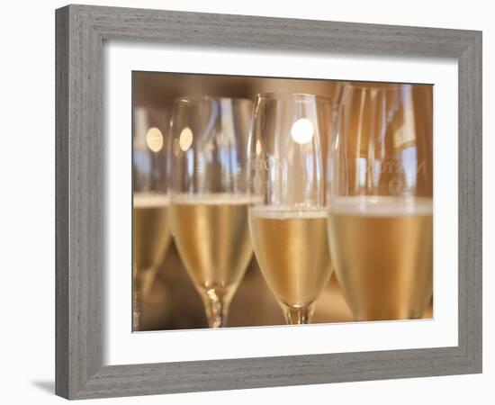 Mendoza Province, Lujan De Cuyo, Bodegas Norton Winery, Wineglasses in the Tasting Room, Argentina-Walter Bibikow-Framed Photographic Print