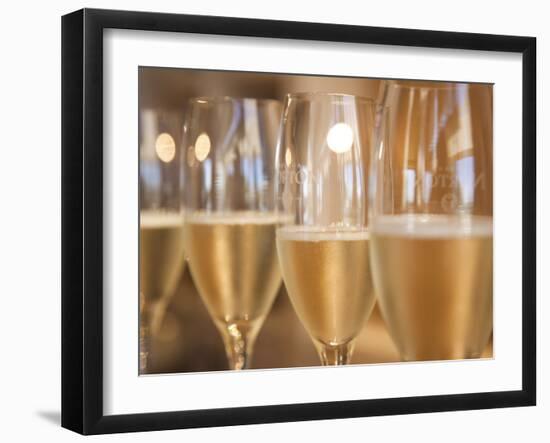 Mendoza Province, Lujan De Cuyo, Bodegas Norton Winery, Wineglasses in the Tasting Room, Argentina-Walter Bibikow-Framed Photographic Print