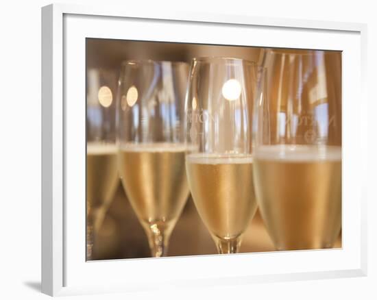 Mendoza Province, Lujan De Cuyo, Bodegas Norton Winery, Wineglasses in the Tasting Room, Argentina-Walter Bibikow-Framed Photographic Print