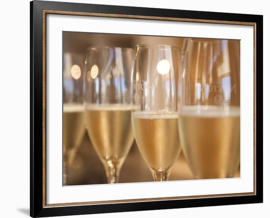 Mendoza Province, Lujan De Cuyo, Bodegas Norton Winery, Wineglasses in the Tasting Room, Argentina-Walter Bibikow-Framed Photographic Print