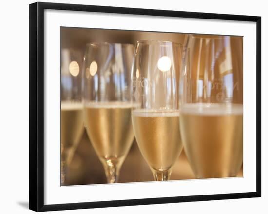 Mendoza Province, Lujan De Cuyo, Bodegas Norton Winery, Wineglasses in the Tasting Room, Argentina-Walter Bibikow-Framed Photographic Print