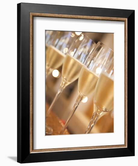 Mendoza Province, Lujan De Cuyo, Bodegas Norton Winery, Wineglasses in the Tasting Room, Argentina-Walter Bibikow-Framed Photographic Print