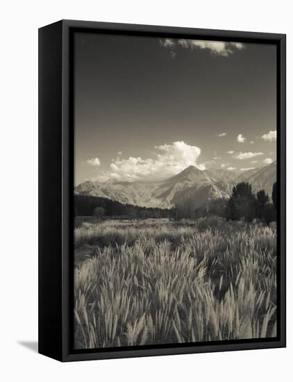 Mendoza Province, Uspallata, Andes Mountains and Rio Mendoza River, Argentina-Walter Bibikow-Framed Premier Image Canvas