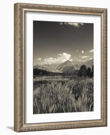 Mendoza Province, Uspallata, Andes Mountains and Rio Mendoza River, Argentina-Walter Bibikow-Framed Photographic Print