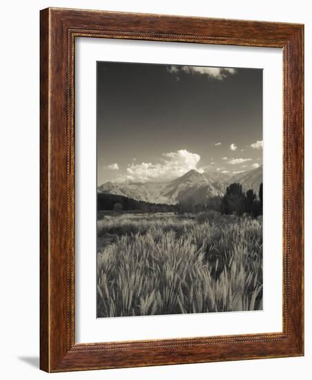 Mendoza Province, Uspallata, Andes Mountains and Rio Mendoza River, Argentina-Walter Bibikow-Framed Photographic Print