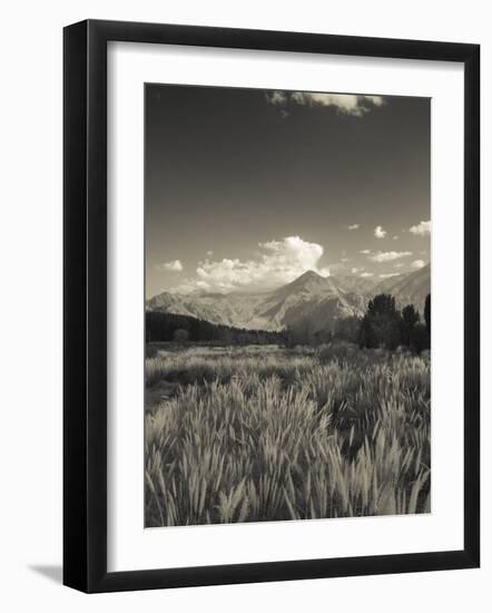 Mendoza Province, Uspallata, Andes Mountains and Rio Mendoza River, Argentina-Walter Bibikow-Framed Photographic Print