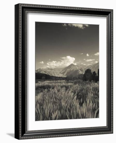 Mendoza Province, Uspallata, Andes Mountains and Rio Mendoza River, Argentina-Walter Bibikow-Framed Photographic Print