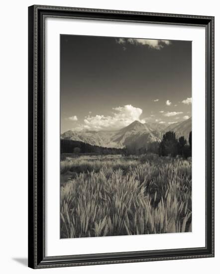 Mendoza Province, Uspallata, Andes Mountains and Rio Mendoza River, Argentina-Walter Bibikow-Framed Photographic Print