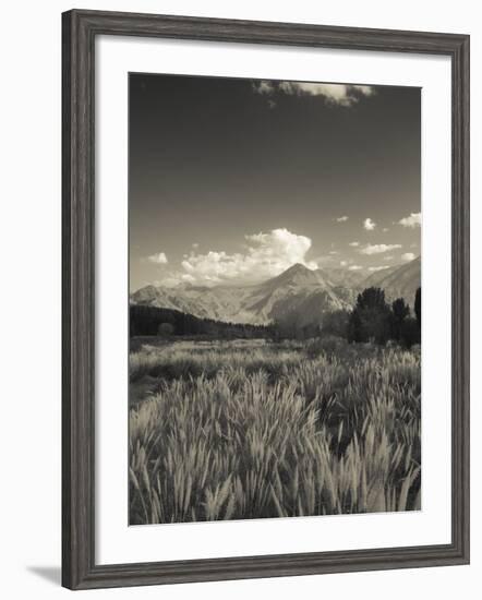 Mendoza Province, Uspallata, Andes Mountains and Rio Mendoza River, Argentina-Walter Bibikow-Framed Photographic Print