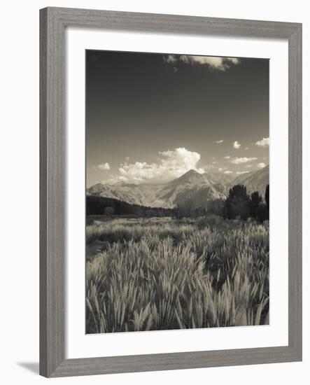 Mendoza Province, Uspallata, Andes Mountains and Rio Mendoza River, Argentina-Walter Bibikow-Framed Photographic Print