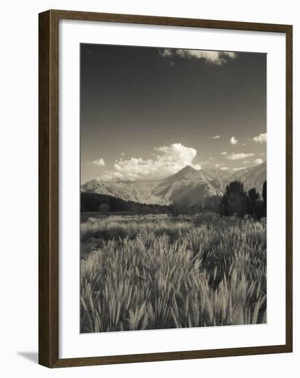 Mendoza Province, Uspallata, Andes Mountains and Rio Mendoza River, Argentina-Walter Bibikow-Framed Photographic Print