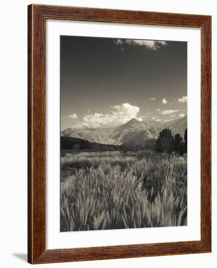 Mendoza Province, Uspallata, Andes Mountains and Rio Mendoza River, Argentina-Walter Bibikow-Framed Photographic Print