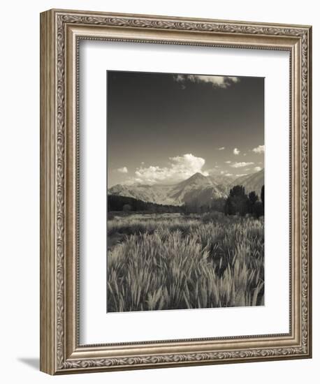 Mendoza Province, Uspallata, Andes Mountains and Rio Mendoza River, Argentina-Walter Bibikow-Framed Photographic Print