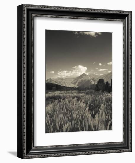 Mendoza Province, Uspallata, Andes Mountains and Rio Mendoza River, Argentina-Walter Bibikow-Framed Photographic Print