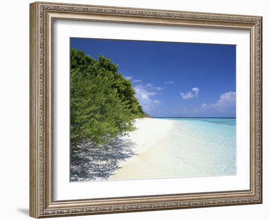 Mendu Island, Baa Atoll, Maldives, Indian Ocean-Sergio Pitamitz-Framed Photographic Print