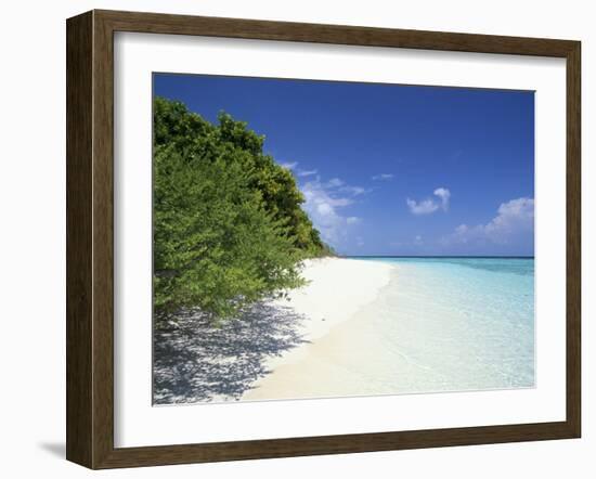 Mendu Island, Baa Atoll, Maldives, Indian Ocean-Sergio Pitamitz-Framed Photographic Print