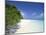 Mendu Island, Baa Atoll, Maldives, Indian Ocean-Sergio Pitamitz-Mounted Photographic Print