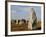 Menec Menhirs in Carnac, Morbihan, Brittany, France, Europe-null-Framed Photographic Print