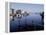 Menemsha Harbor on Martha's Vineyard-Alfred Eisenstaedt-Framed Premier Image Canvas