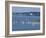 Menemsha, Martha's Vineyard-Alfred Eisenstaedt-Framed Photographic Print