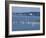 Menemsha, Martha's Vineyard-Alfred Eisenstaedt-Framed Photographic Print