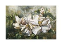 Dawning Magnolias-Meng-Giclee Print