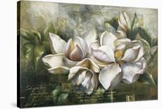 Dawning Magnolias-Meng-Framed Giclee Print