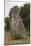 Menhir De Belinac-null-Mounted Photographic Print